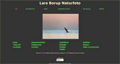 Desktop Screenshot of larsborup.dk