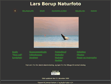 Tablet Screenshot of larsborup.dk